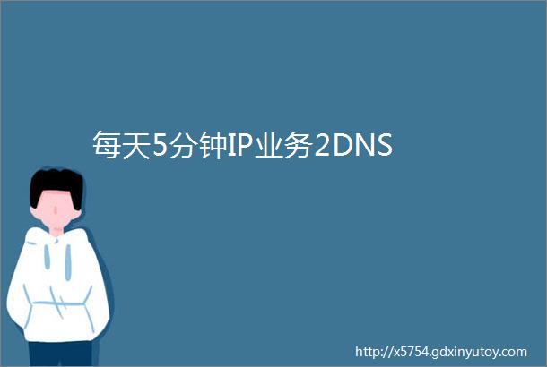 每天5分钟IP业务2DNS